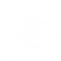 Willa Roza Łeba - pokoje nad morzem